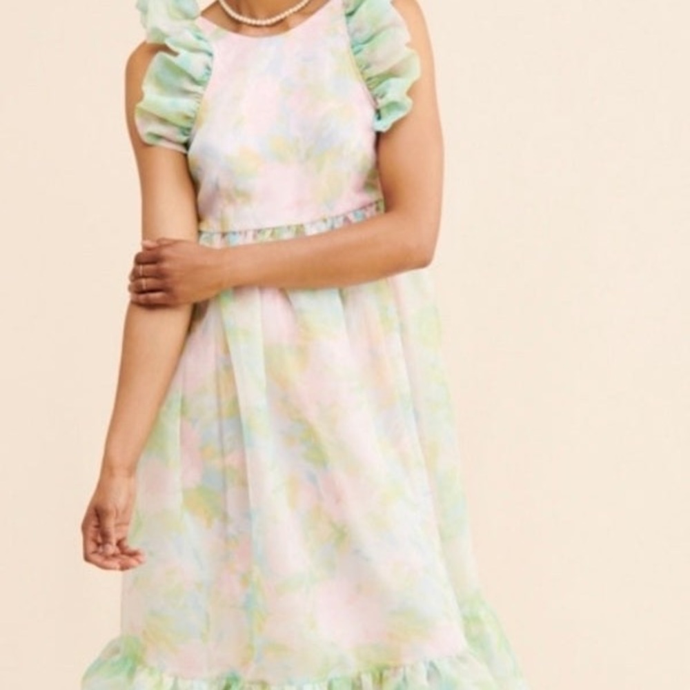 ๐๐ธ Selkie X Maison Armory XL Pastel Paints Romance Ruffle Gown ๐ธ๐ - Picture 5 of 8